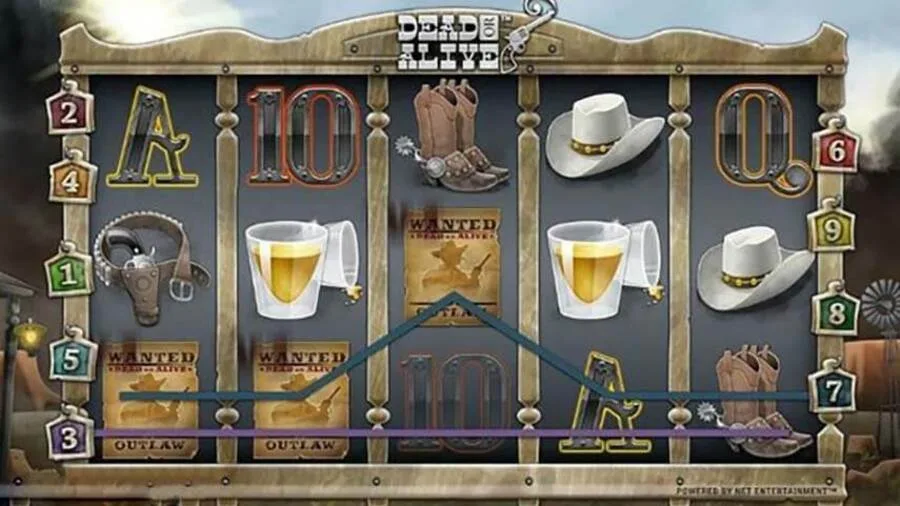 Dead or Alive gameplay